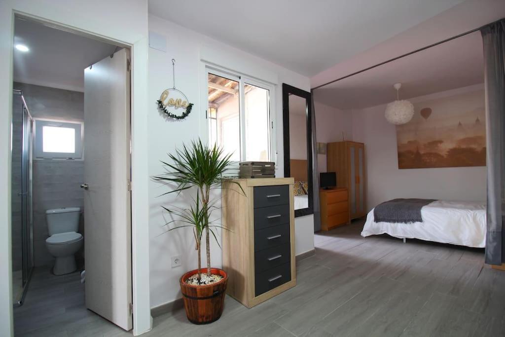 סביליה Suite Puerta Osario Con Terraza מראה חיצוני תמונה